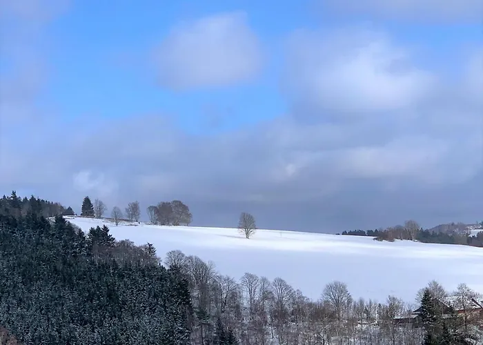 Дом отдыха Direkt Am Diemelsee-heringhausen-willingen-toplage-sauna-3 Schlafzimmer-2 Terrassen-109 Qm-incl Waesche *