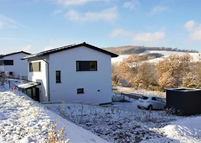 Direkt Am Diemelsee-heringhausen-willingen-toplage-sauna-3 Schlafzimmer-2 Terrassen-109 Qm-incl Waesche * Херингхаузен