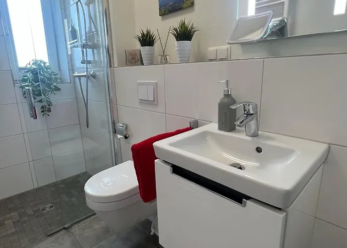 Direkt Am Diemelsee-heringhausen-willingen-toplage-sauna-3 Schlafzimmer-2 Terrassen-109 Qm-incl Waesche *